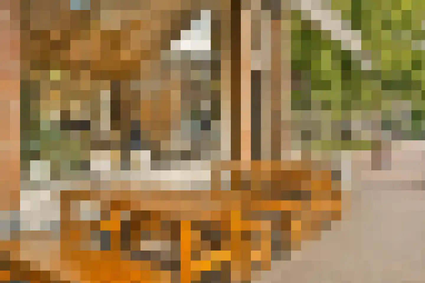 Ten Katestraat 43 3 Amsterdam thumbnail 23