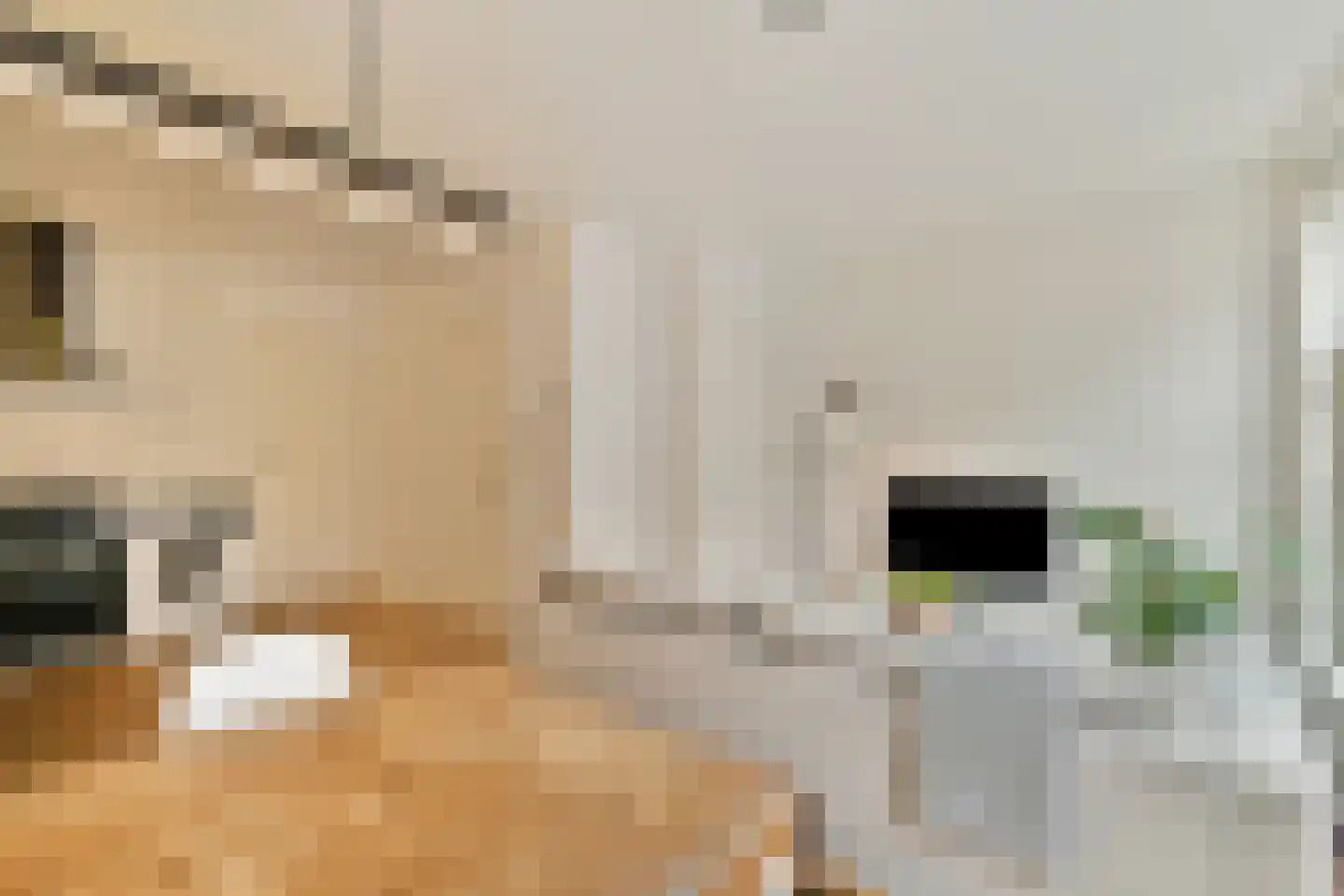 Ten Katestraat 45 2 Amsterdam thumbnail 4