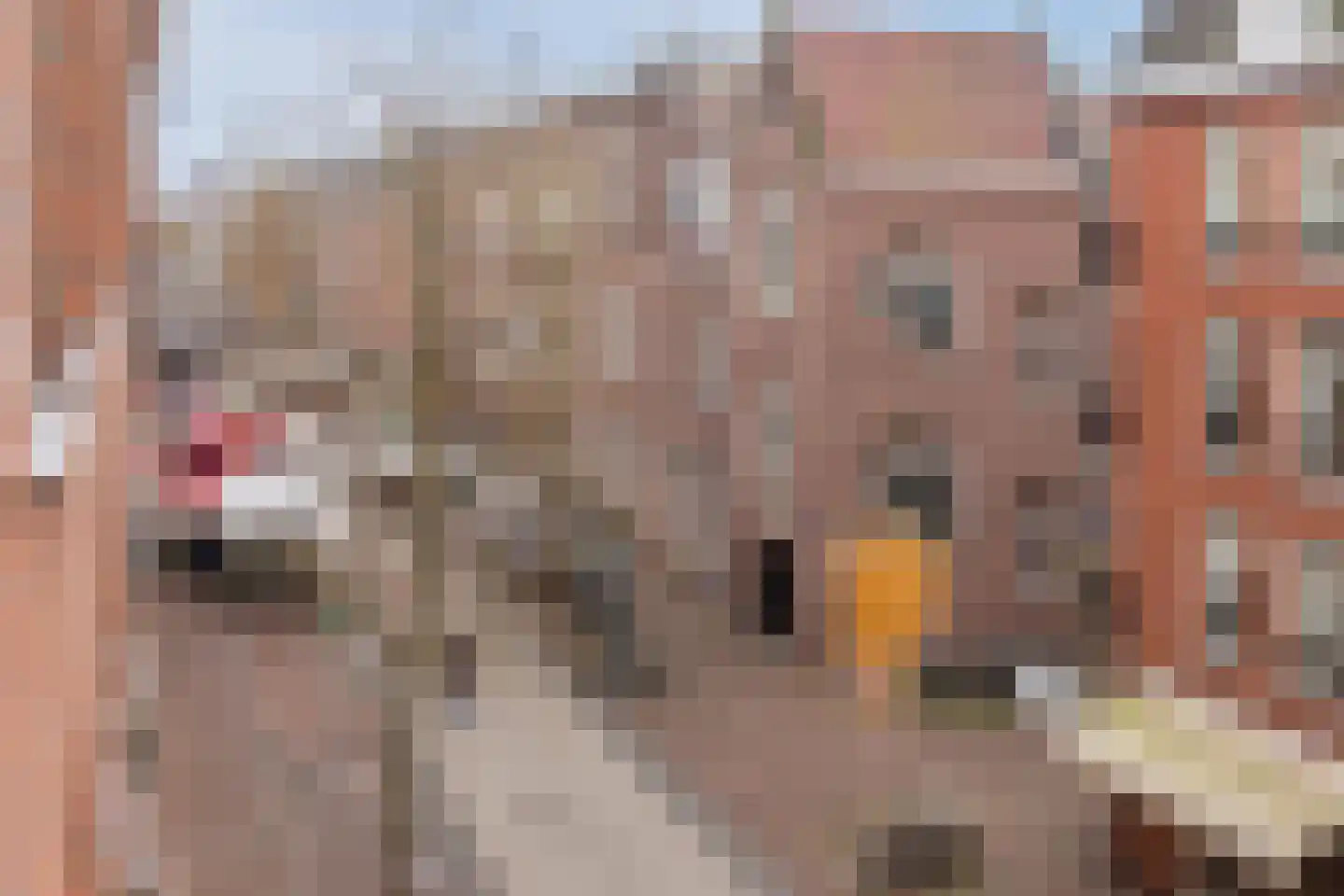 Ten Katestraat 5 2 Amsterdam thumbnail 39