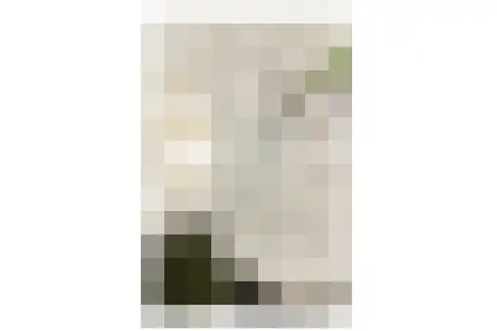 Ten Katestraat 55 3 Amsterdam thumbnail 10