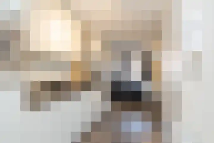 Ten Katestraat 63 1 Amsterdam thumbnail 9