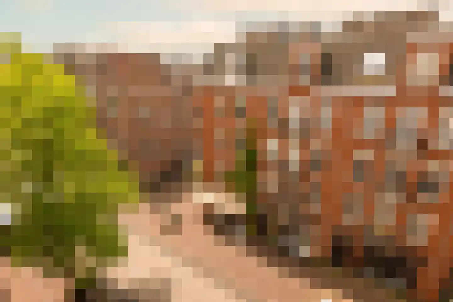 Ten Katestraat 7 3 Amsterdam thumbnail 21