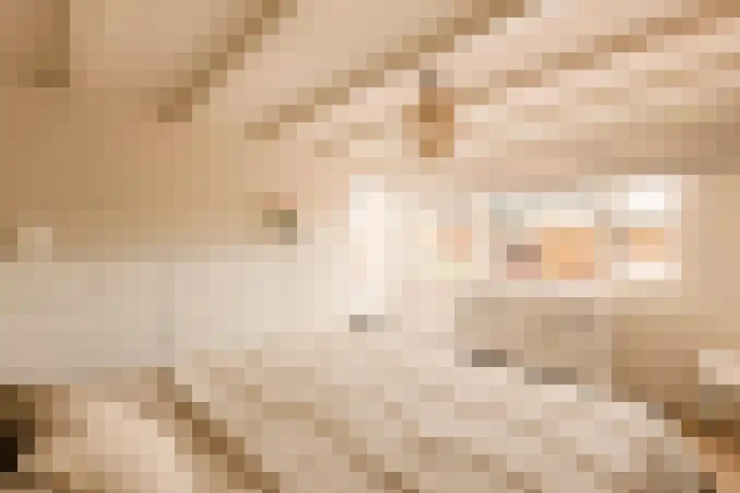 Ten Katestraat 7 H Amsterdam thumbnail 24
