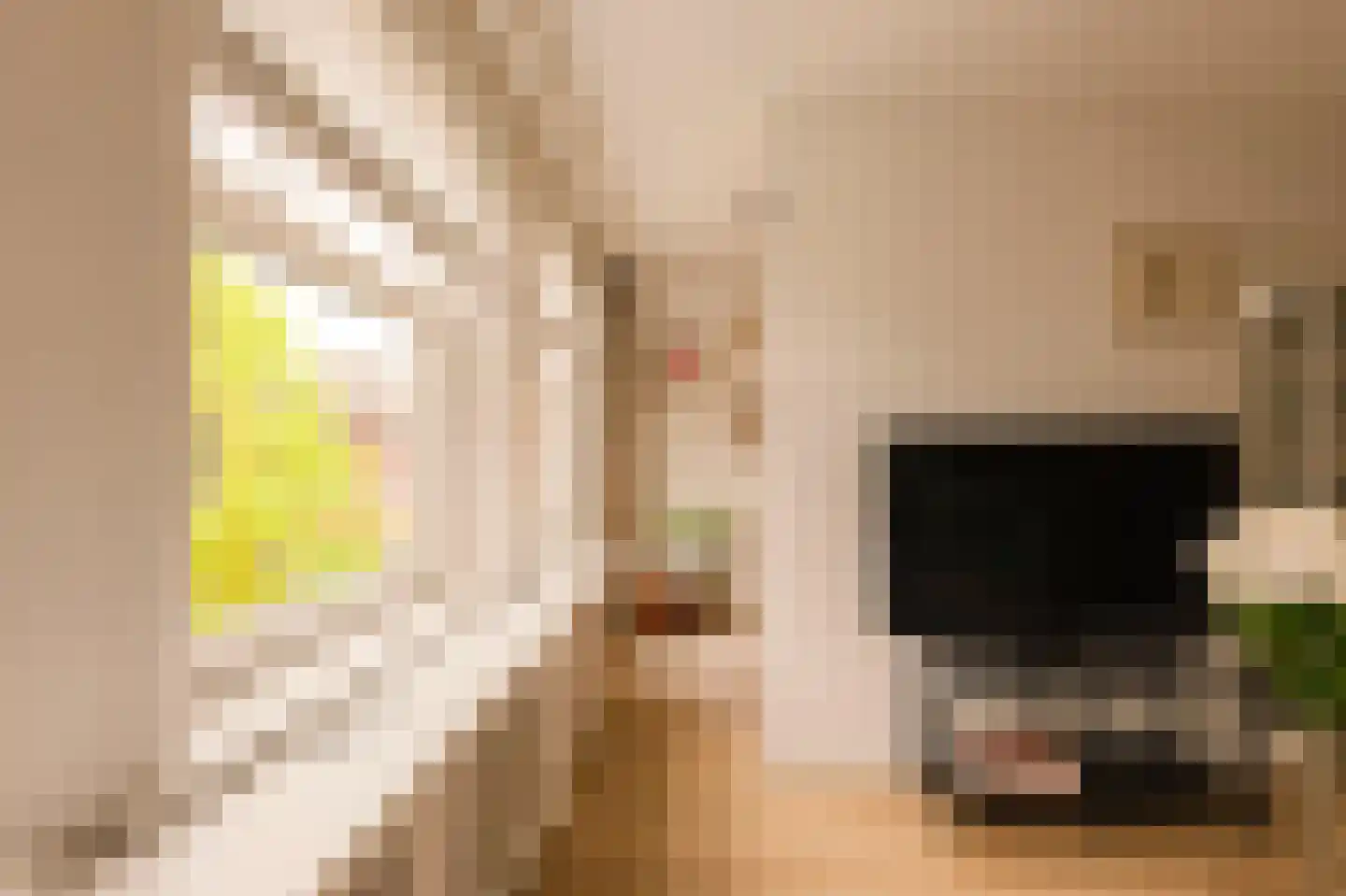 Ten Katestraat 7 H Amsterdam thumbnail 7
