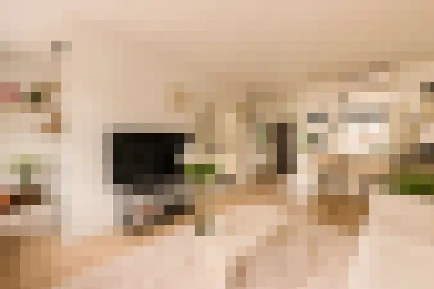 Ten Katestraat 7 H Amsterdam thumbnail 9