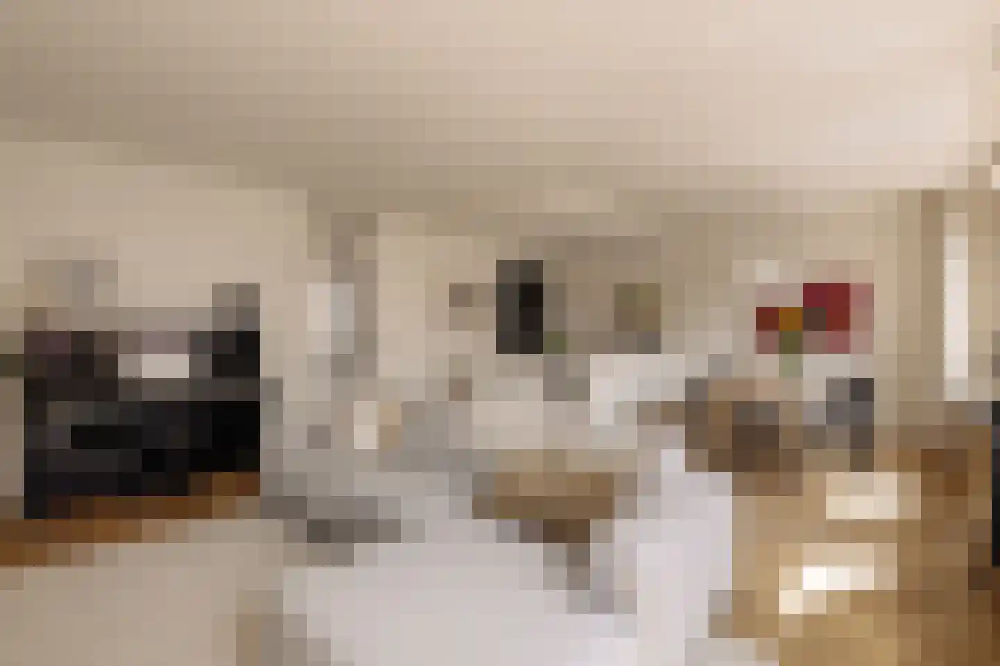 Ten Katestraat 87 Amsterdam thumbnail 7