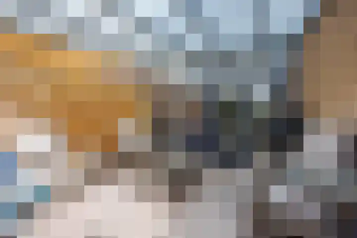 Ten Oeverlaan 109 Groningen thumbnail 24