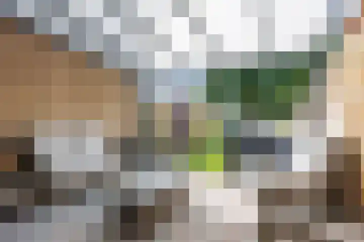 Ten Oeverlaan 109 Groningen thumbnail 25