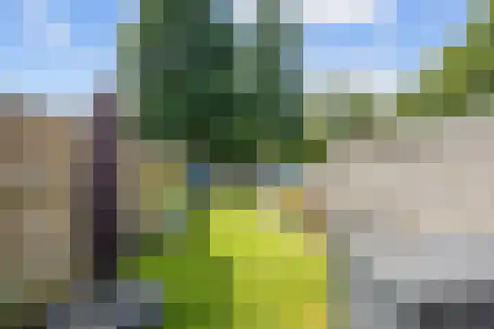 Ten Oeverlaan 109 Groningen thumbnail 26