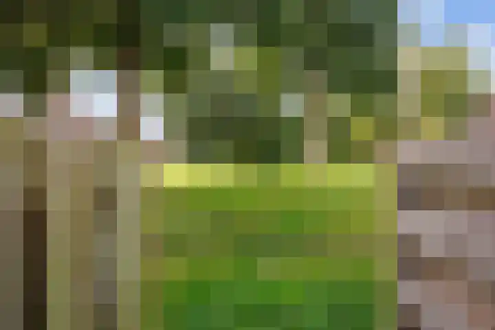 Ten Oeverlaan 109 Groningen thumbnail 27