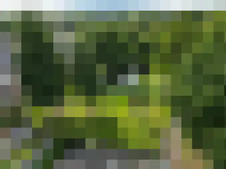 Ten Oeverlaan 109 Groningen thumbnail 29