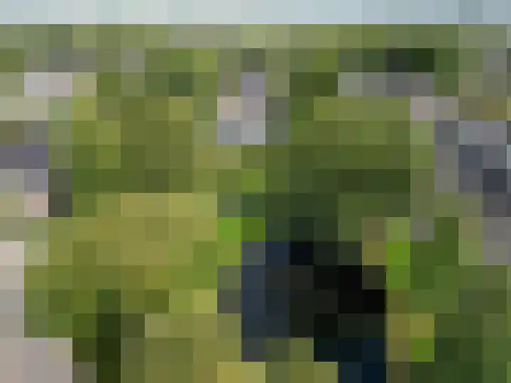 Ten Oeverlaan 109 Groningen thumbnail 30