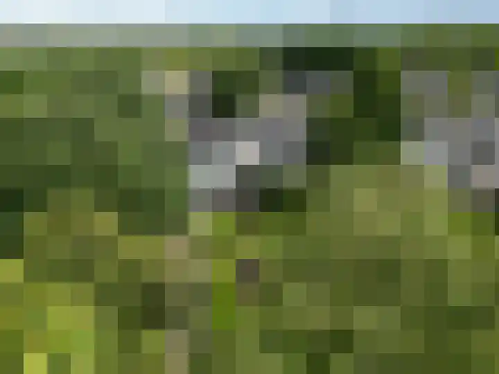 Ten Oeverlaan 109 Groningen thumbnail 31