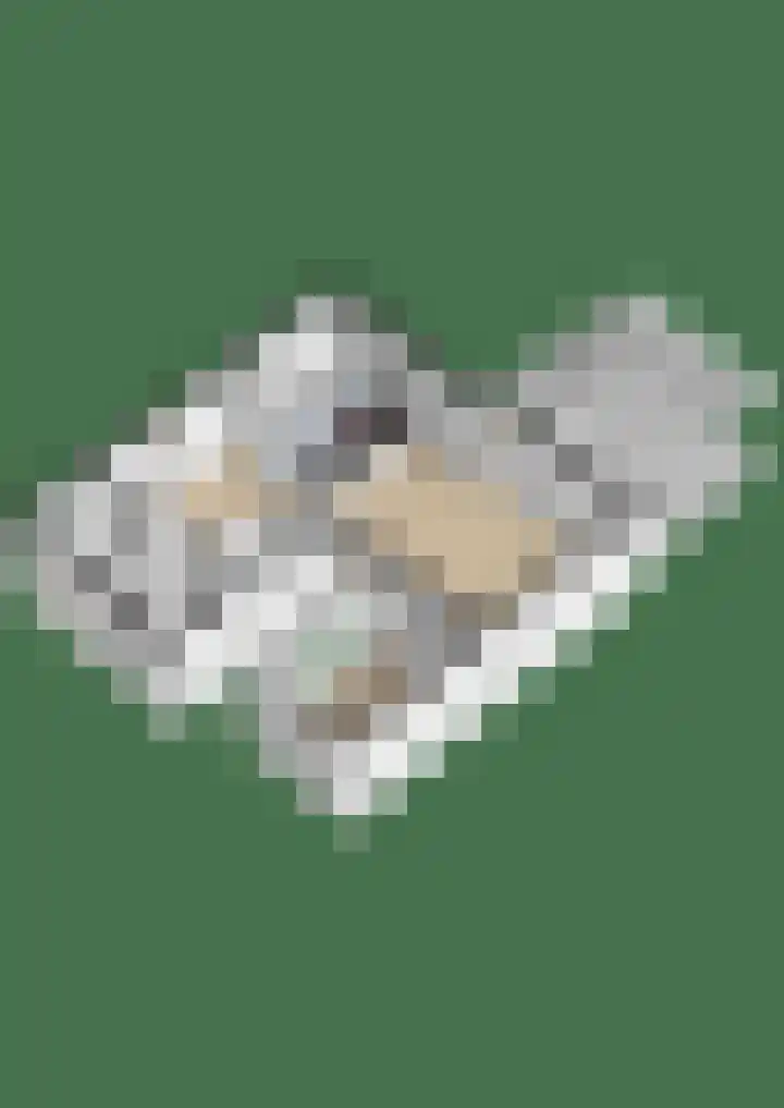 Ten Oeverlaan 109 Groningen thumbnail 33