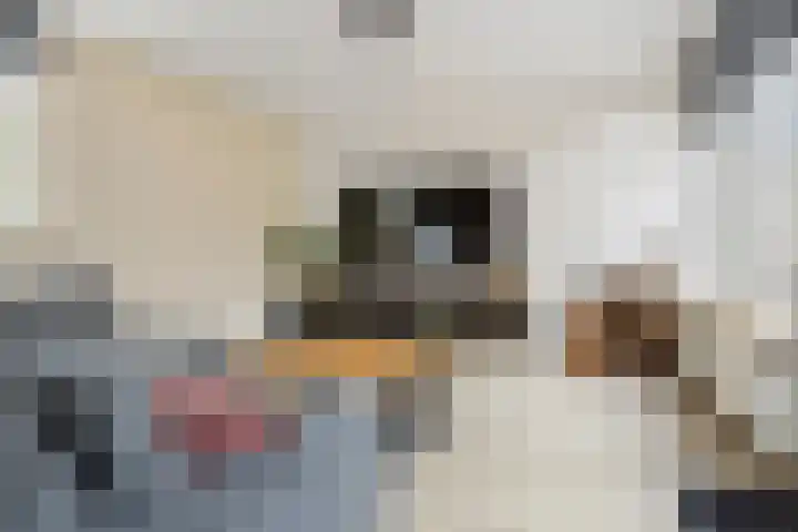 Ten Oeverlaan 110 Groningen thumbnail 11