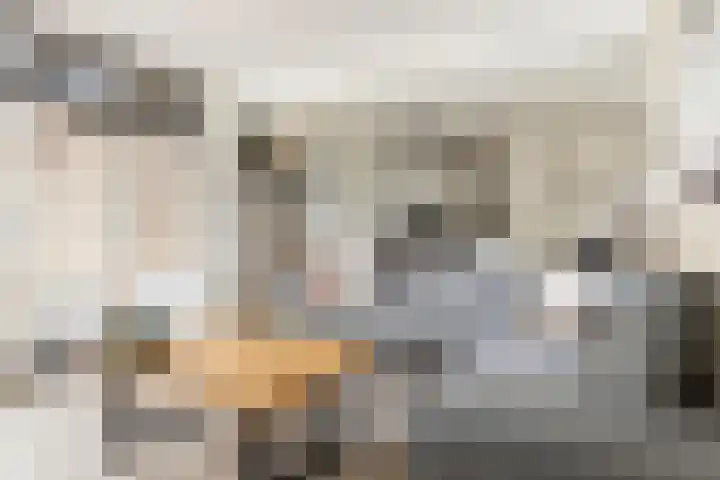 Ten Oeverlaan 110 Groningen thumbnail 13