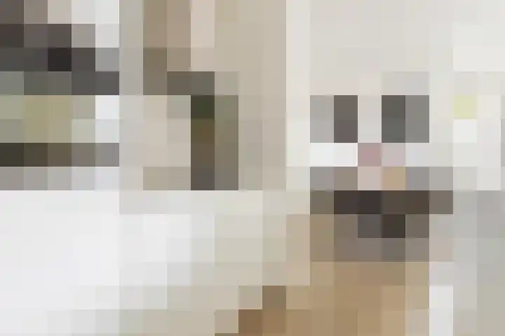 Ten Oeverlaan 110 Groningen thumbnail 19
