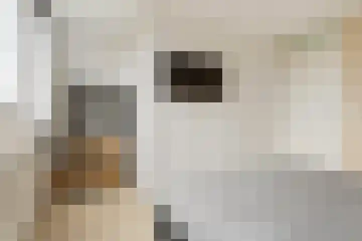 Ten Oeverlaan 110 Groningen thumbnail 28