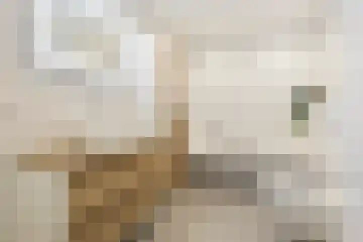 Ten Oeverlaan 110 Groningen thumbnail 33