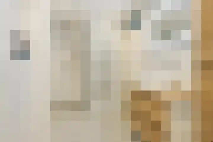 Ten Oeverlaan 110 Groningen thumbnail 34