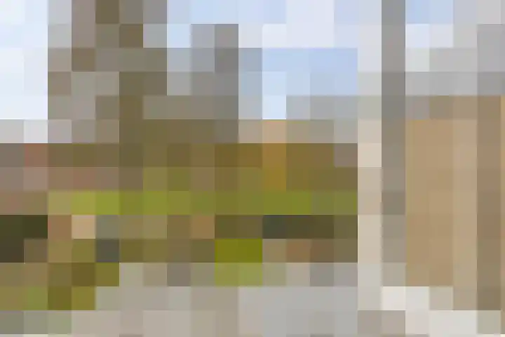 Ten Oeverlaan 110 Groningen thumbnail 37