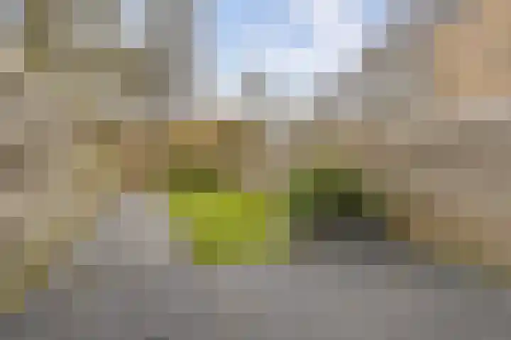 Ten Oeverlaan 110 Groningen thumbnail 40