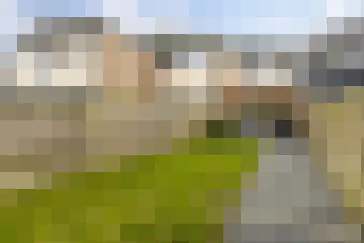 Ten Oeverlaan 110 Groningen thumbnail 42