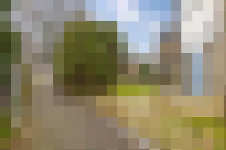 Ten Oeverlaan 110 Groningen thumbnail 44