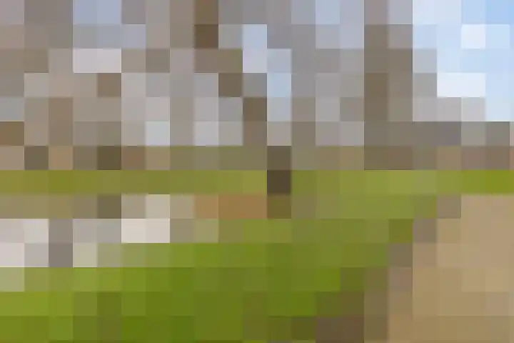 Ten Oeverlaan 110 Groningen thumbnail 45