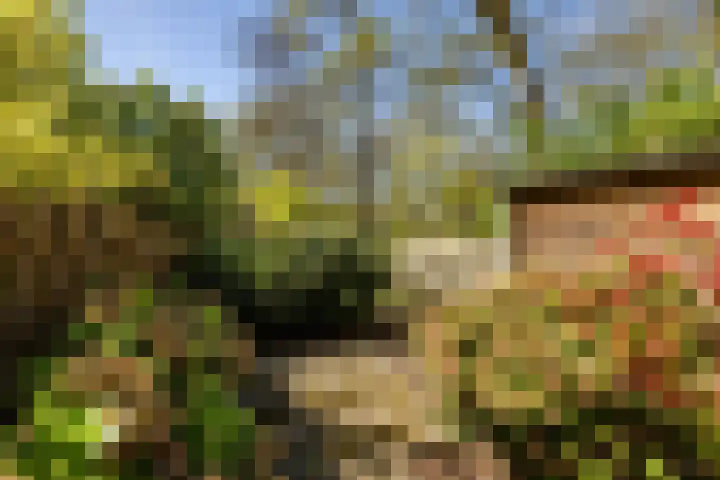 Ten Oeverlaan 2 Groningen thumbnail 17