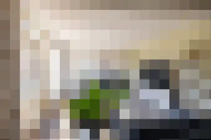 Ten Oeverlaan 24 Groningen thumbnail 10