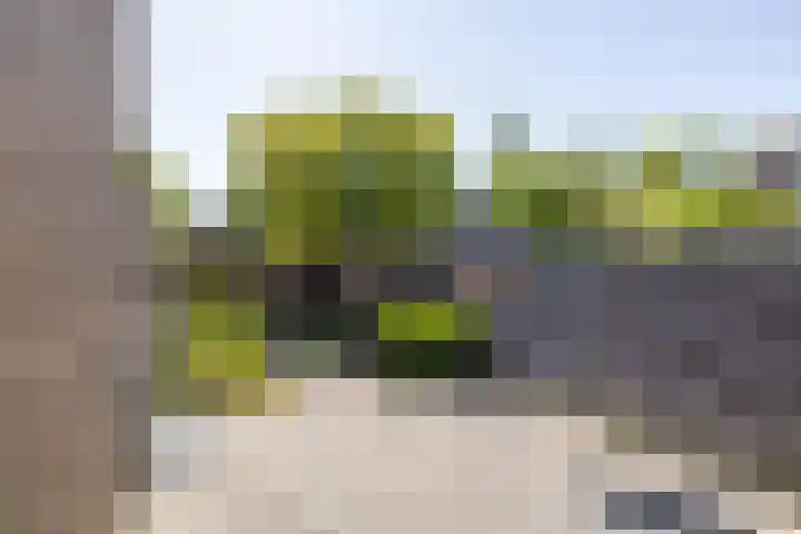 Ten Oeverlaan 24 Groningen thumbnail 26