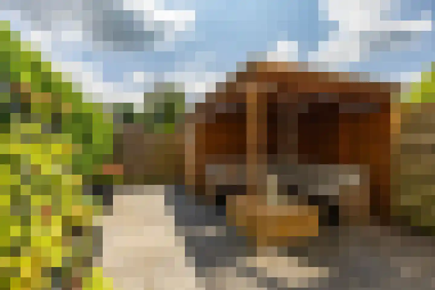 Ten Oeverlaan 28 Groningen thumbnail 34