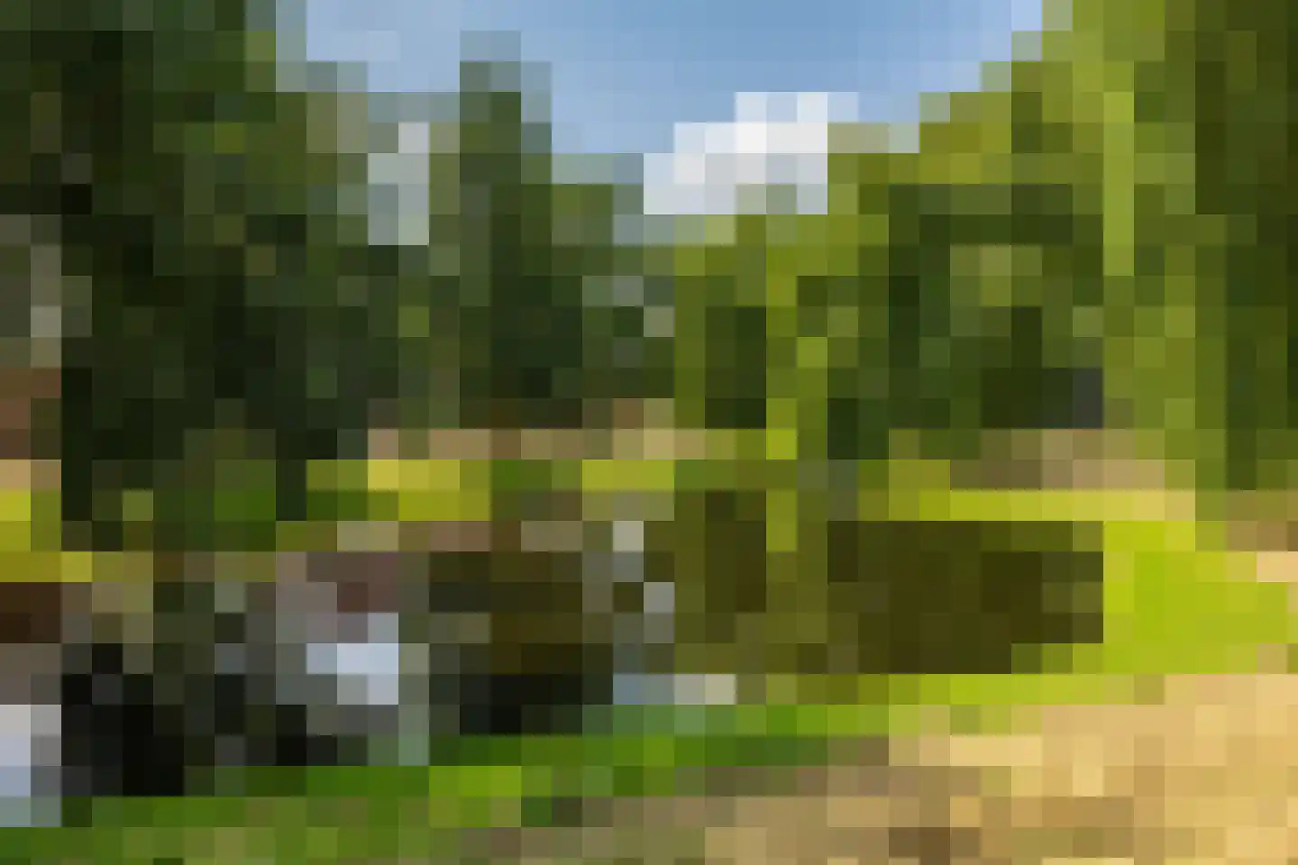 Ten Oeverlaan 28 Groningen thumbnail 35