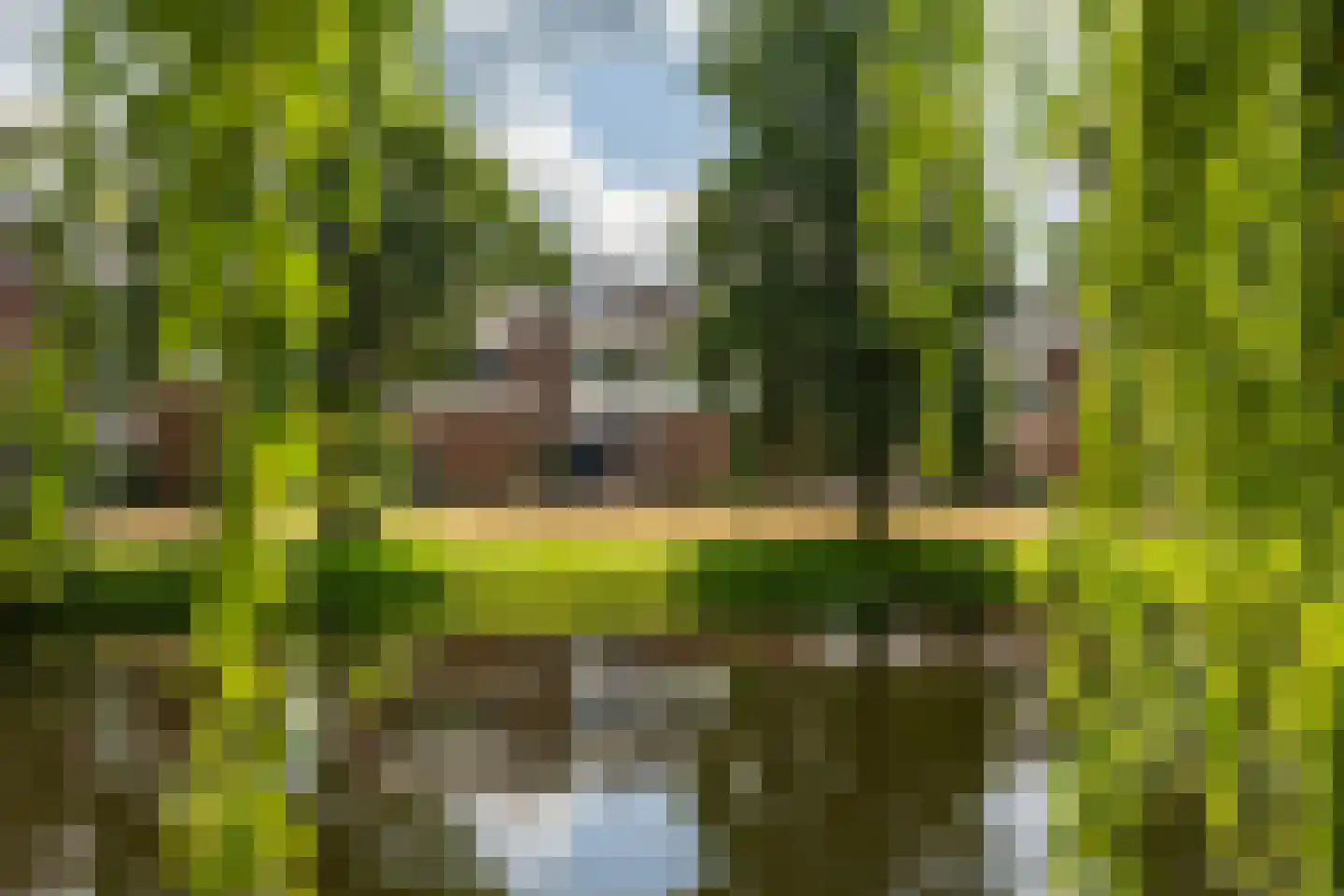Ten Oeverlaan 28 Groningen thumbnail 5
