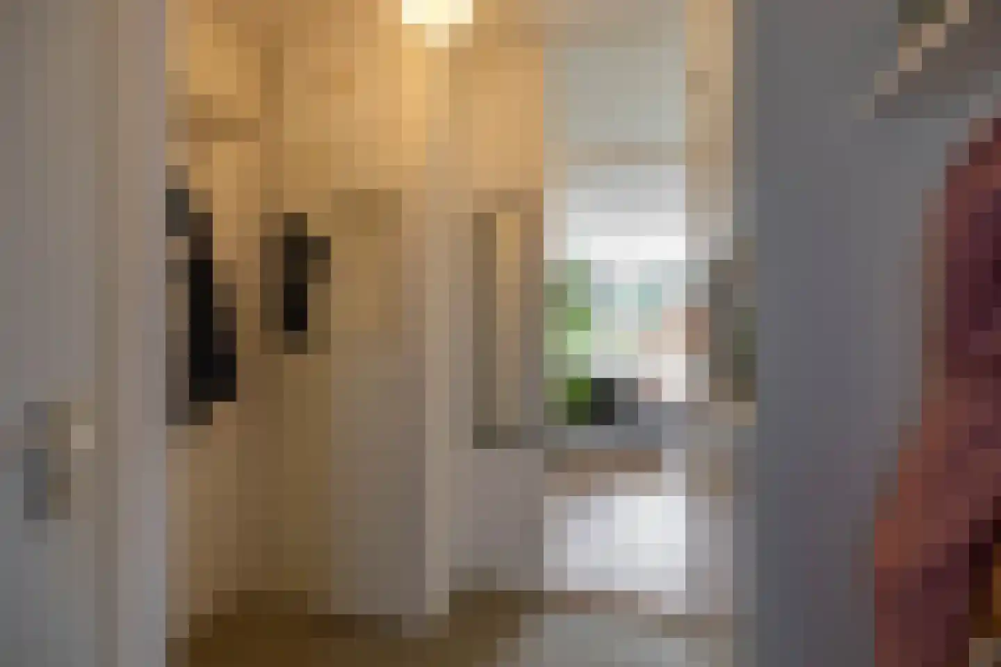 Ten Oeverlaan 28 Groningen thumbnail 9