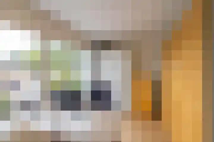 Ten Oeverlaan 41 Groningen thumbnail 12