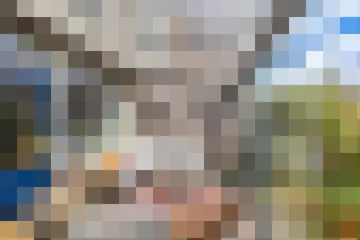 Ten Oeverlaan 41 Groningen thumbnail 22