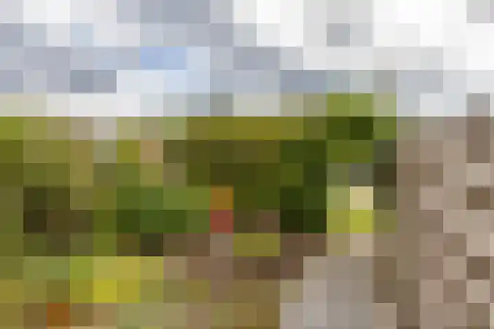 Ten Oeverlaan 41 Groningen thumbnail 23