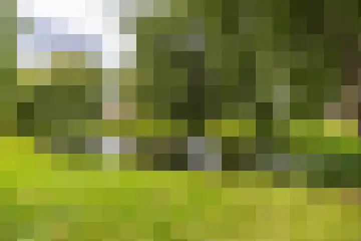 Ten Oeverlaan 41 Groningen thumbnail 27