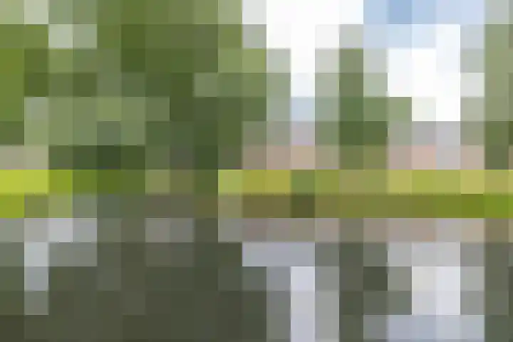 Ten Oeverlaan 41 Groningen thumbnail 28