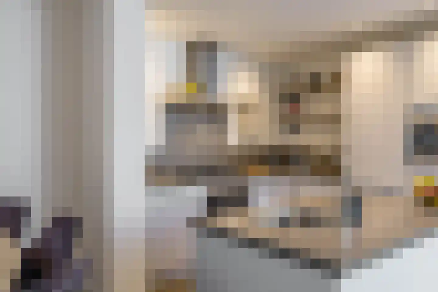 Ten Oeverlaan 72 Groningen thumbnail 17