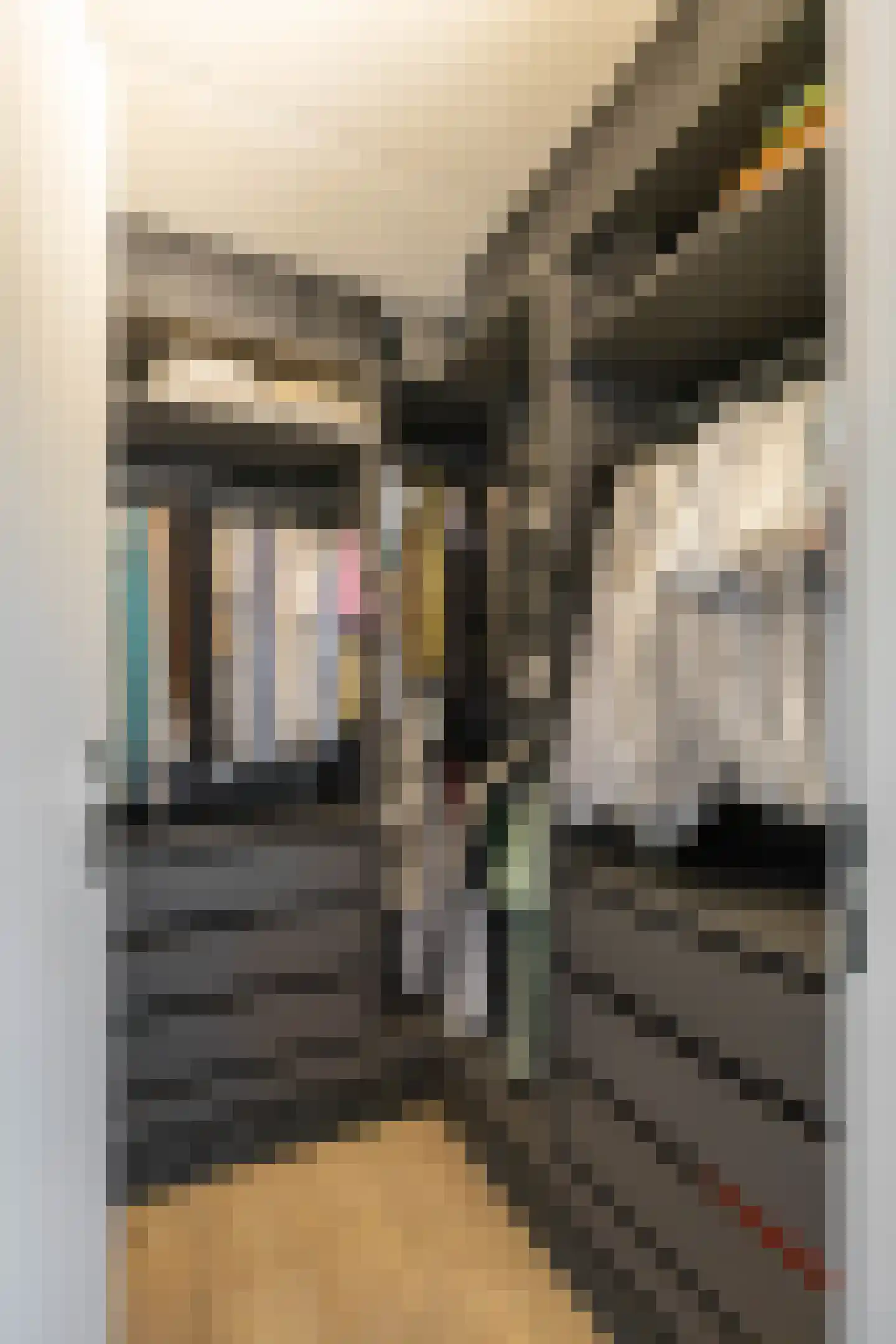 Ten Oeverlaan 72 Groningen thumbnail 38