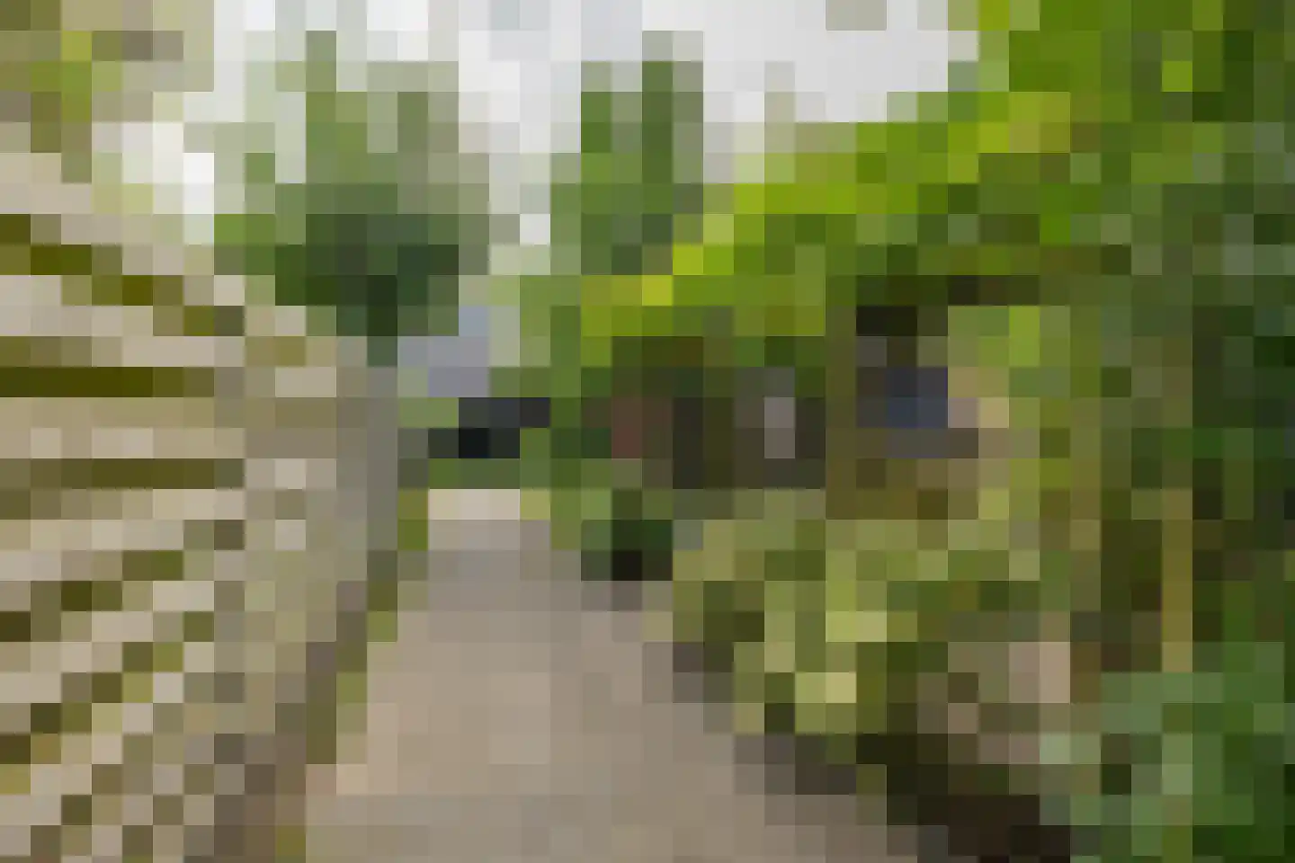 Ten Oeverlaan 72 Groningen thumbnail 9