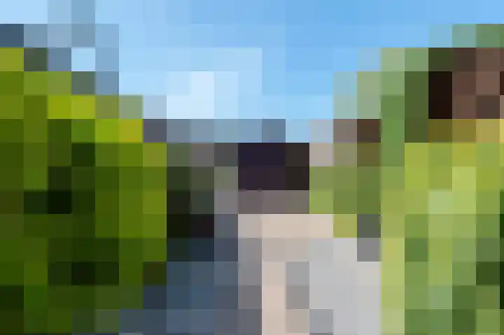 Ten Oeverlaan 76 Groningen thumbnail 33