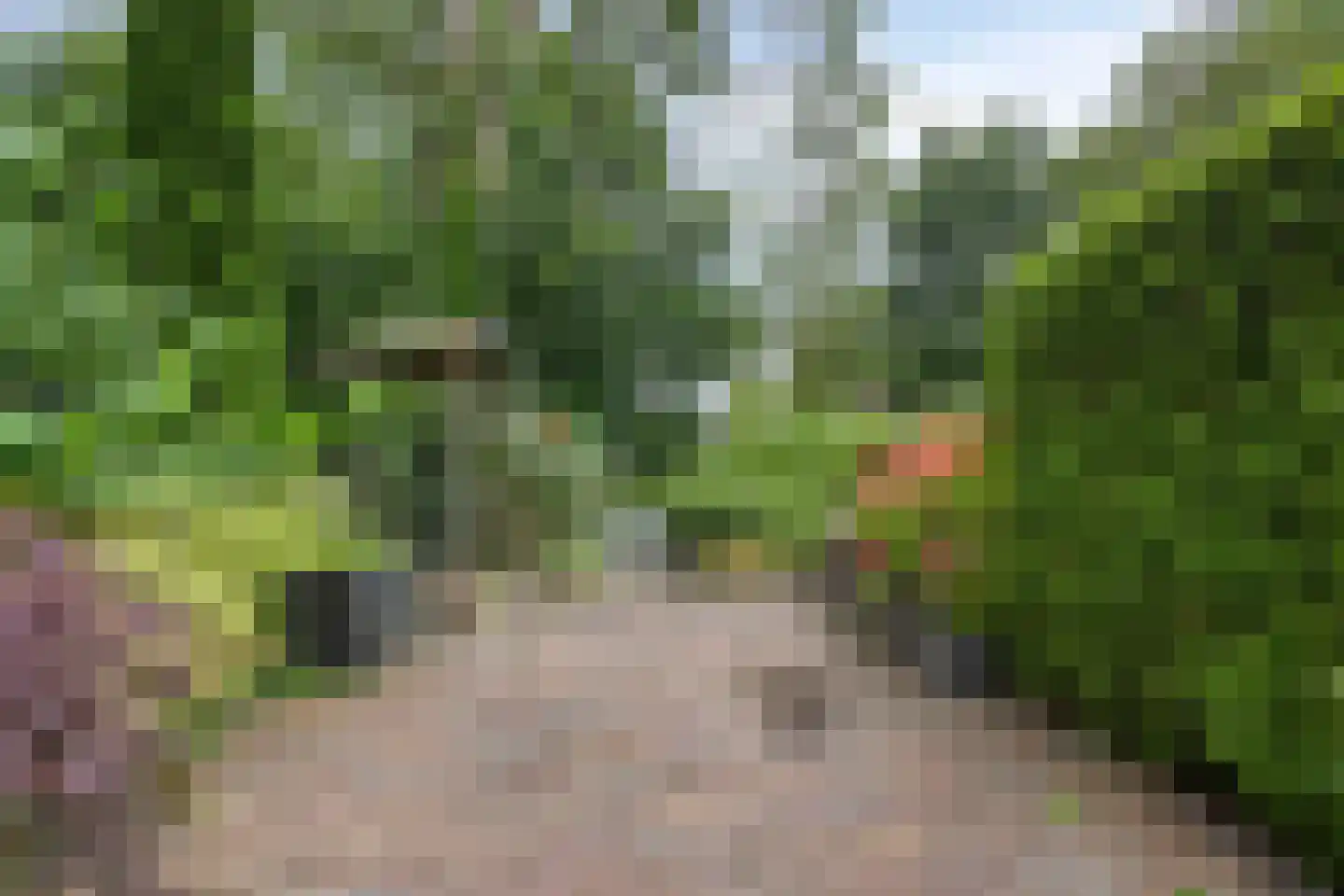 Ten Oeverlaan 8 Groningen thumbnail 32