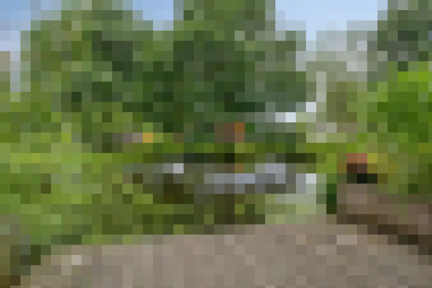 Ten Oeverlaan 8 Groningen thumbnail 33