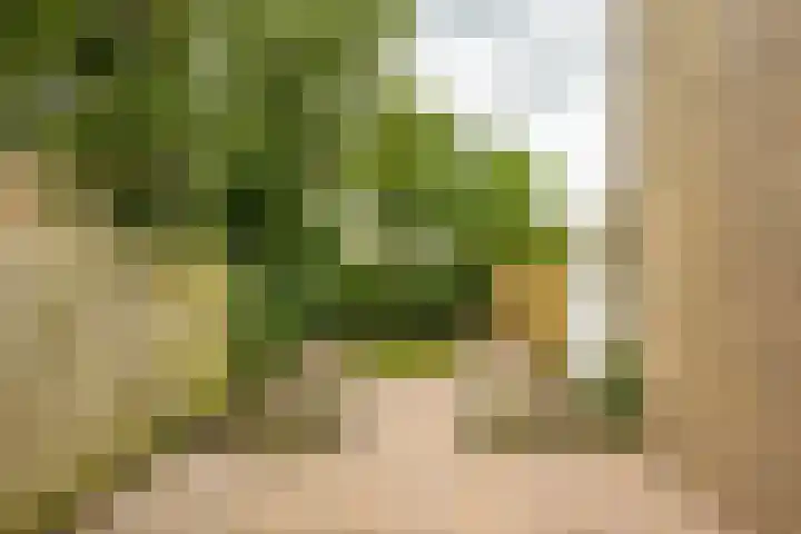 Ten Oeverlaan 89 Groningen thumbnail 16