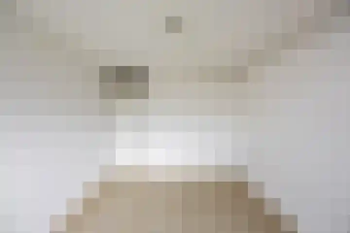 Ten Oeverlaan 89 Groningen thumbnail 18
