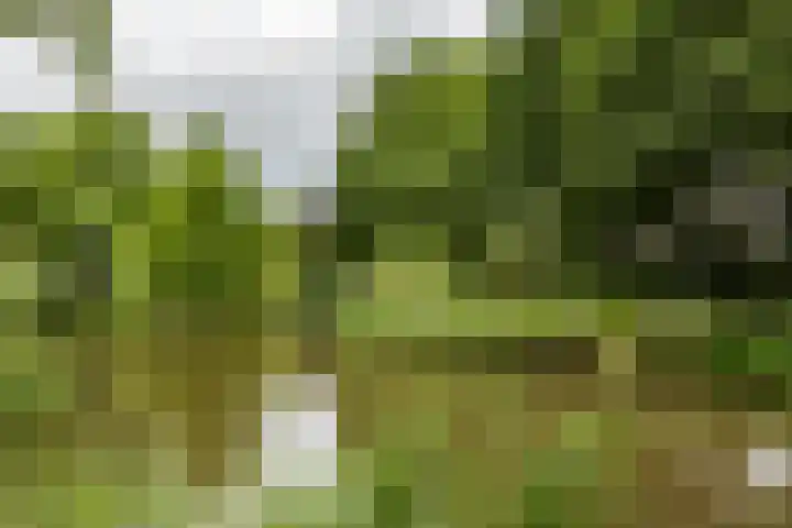 Ten Oeverlaan 89 Groningen thumbnail 31